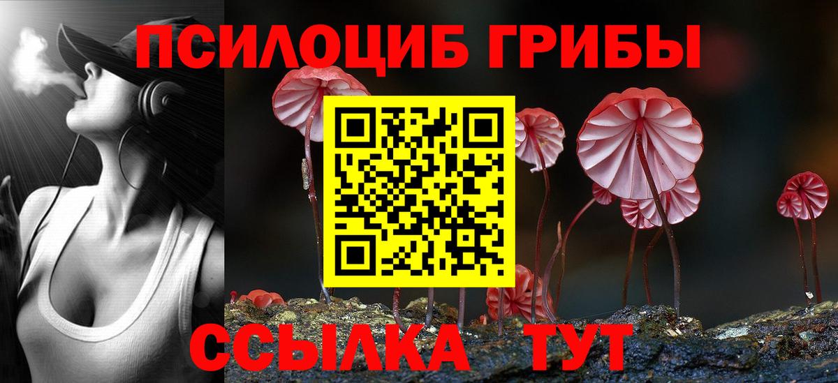Псилоцибиновые грибы Cubensis Красногорск